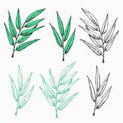 Laurel wreath icon. Emblem made of laurel branches. Laurel leaves symbol of high quality olive plants. Sign isolated on white background. Vector illustration