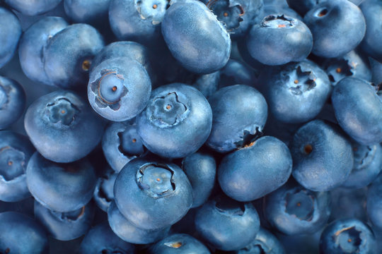 Fresh Blueberry Background. Texture blueberry berries. Various fresh summer berries. Blue food.