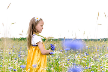 Little pretty girl in yellow Russian dress picking flowers in field of wild flowers on summer day.