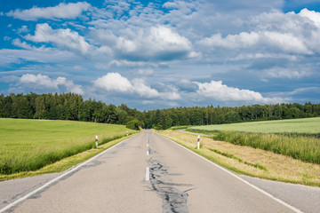 In the fields grows the crop and beautiful wildflowers in a rural landscape.