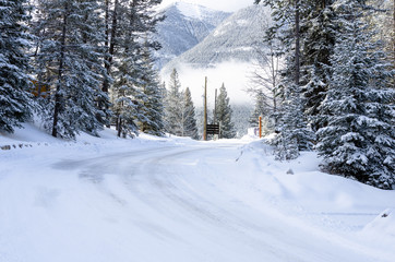 Fototapeta premium Tree lined road covered in fresh snow in the mountains in winter. Banff, AB, Canada.
