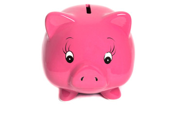Piggy Bank isolated