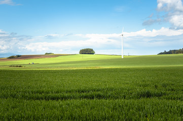 Éolienne solitaire dans un paysage rural vallonné sous ciel bleu en été