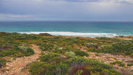 Fototapeta na wymiar Cape Naturaliste Trail near Dunsborough, Western Australia