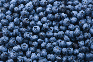 Fresh blueberry background. Texture blueberry berries close up.