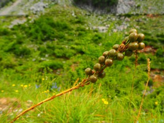 Amazing Hiking courses at Skoder, Albania
