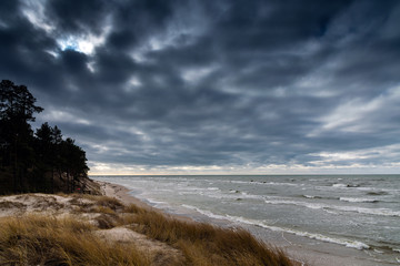 Baltic sea coast in cold day.