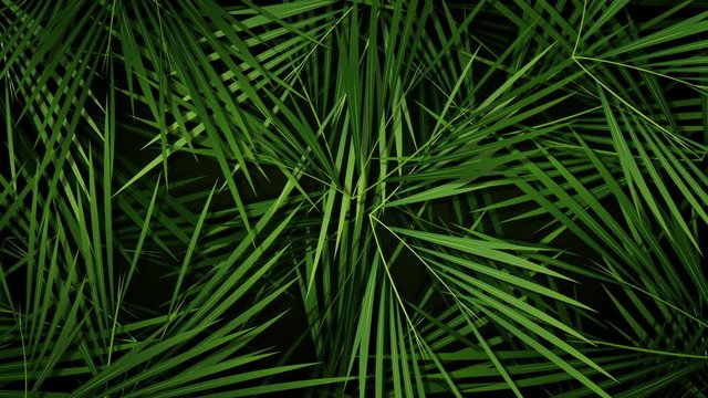 Summer Palm Trees Leaves Background Loop/ 4k animation of a summer season tropical background with palm trees leaves and vegetation patterns seamless looping
