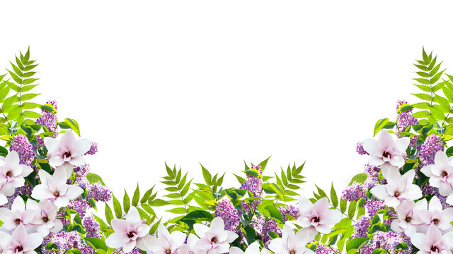 Beautiful floral border ornament consists of lilacs flowers, green foliage and magnolia isolated on white background. Empty copy space for photo or text.