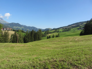 Fototapeta na wymiar Alpine landscape with green pastures and firs against italian Dolomites at summer . View from La Villa village, Bolzano, Alto Adige, South Tyrol, Italy