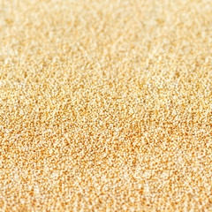 Background of amaranth, amaranthus seeds healthy food background, wallpaper, texture