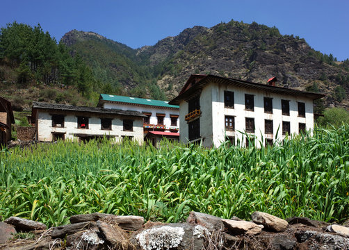 Old traditional nepali houses and corn field in Junbesi sherpa village, Solukhumbu, Everest Region, Nepal