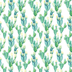 Watercolor hand drawn exotic botany green cactuses illustration seamless pattern isolated on white background