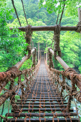 祖谷のかずら橋　徳島県