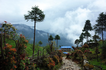Mountain village along trail between Jiri and Lukla, Lower part of Everest trek in Himalayas, Solukhumbu region, Nepal
