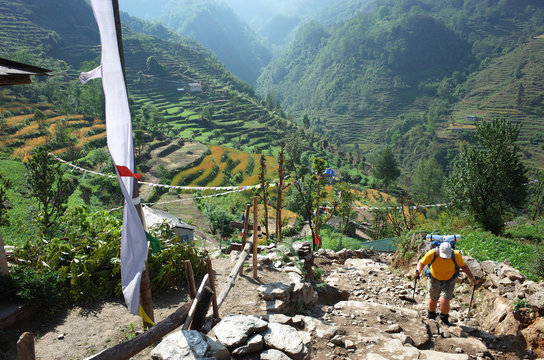 Hiker trekking in green mountains up on trail between Jiri and Lukla - lower part of Everest trek in Himalayas, Near Bupsa village, Solukhumbu region, Nepal