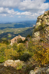 Obraz premium Beautiful autumn beech forest en mountain Montseny in Spain, near Viladrau