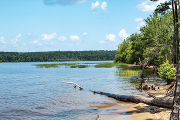 The Sandling Beach at Fall Lake 
