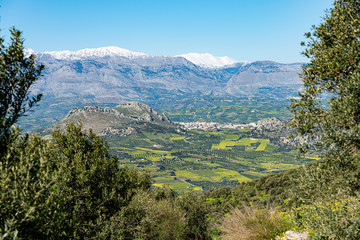 Naklejka premium Aerial view of rural Archanes region landscape. Unique scenic panorama Olive groves, vineyards, green meadows, hills and Psiloritis moutain view in spring. Heraklion, Crete, Greece