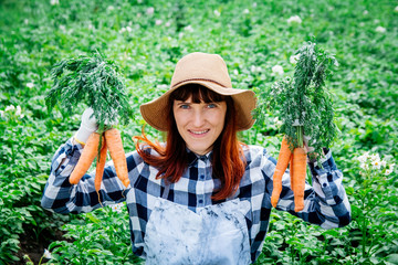 Portrait beautiful female farmer holds a bunch of carrots smiling at the camera wearing a straw hat...