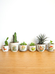 Small succulents in vintage flower pots on a wooden desk against a white background