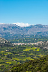 Naklejka na ściany i meble Aerial view of rural Archanes region landscape. Unique scenic panorama Olive groves, vineyards, green meadows and hills view in spring. Psiloritis montain in background. Heraklion, Crete, Greece