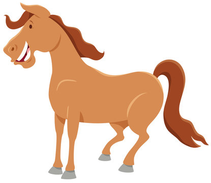 farm horse character cartoon illustration
