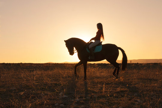 Silueta de mujer joven montada a caballo en un bonito atardecer
