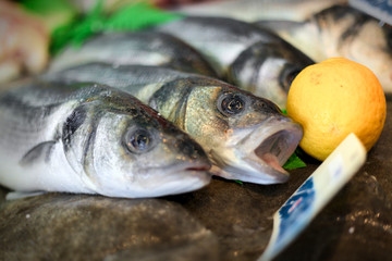 fish market