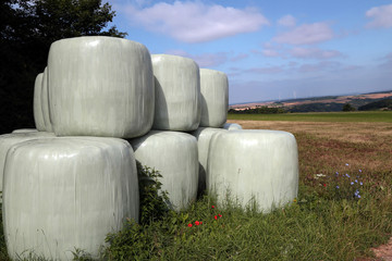 Countryside field with hay bale wrapped in plastic