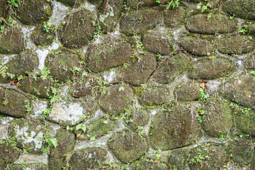 Ancient wall made of natural rocks with plants between blocks