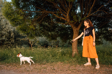 Fototapeta premium girl with dog play. person and pet together. little Jack Russell Terrier