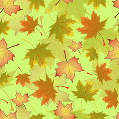 pattern maple leaves illustration background color autumn