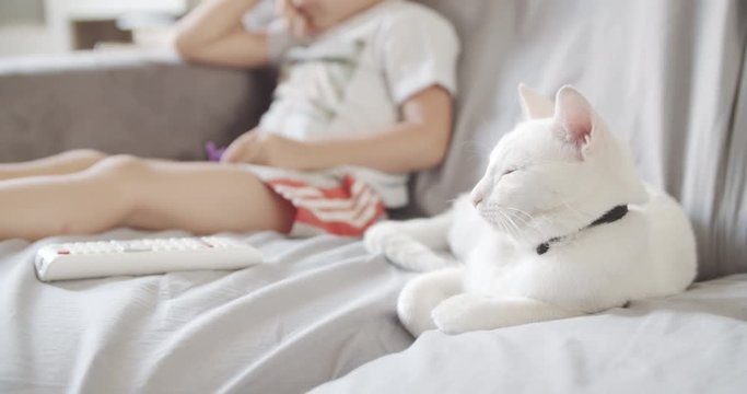 Child watches tv with white cat