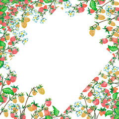 Watercolor greeting card, invitation with a plant strawberry. Blossoming bush with a red berry and flower. Against the background of a beautiful colorful watercolor stain.