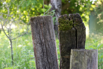 Old wooden fence in the countryside.