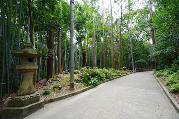 ◉Landscape of Iwashimizu Hachimangu◉