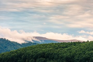 dramatic clouds above the mountain at sunrise. beautiful nature background. dynamic side lit cloudscape. forested hill on the foreground