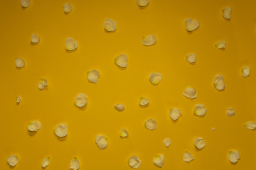 scattered petals on yellow background