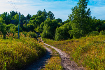 Fototapeta na wymiar rural landscape in summer. the road in the grass.