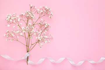 White gypsophila flowers with ribbon on pink background