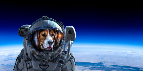 First trip to space. Mixed media