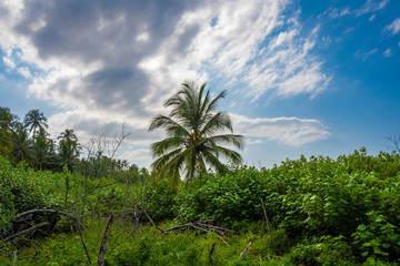 Fototapeta na wymiar A beautiful view from Tayrona National Park, Santa Marta, Colombia