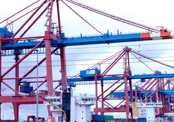 cranes in port, cargo container terminal