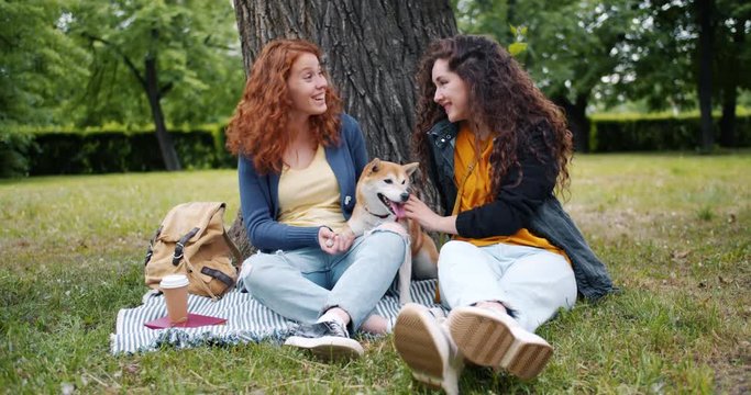 Slow motion of girls friends sitting on lawn in park with cute dog talking and having fun on beautiful summer day. People, conversation and animals concept.