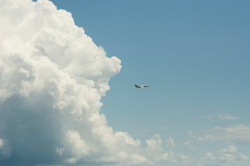 seagull flying in the blue sky