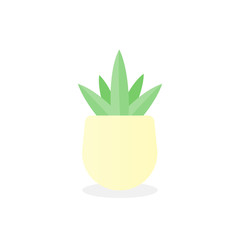 Succulent isolated on white background. Aloe potted. Vector illustration, flat design