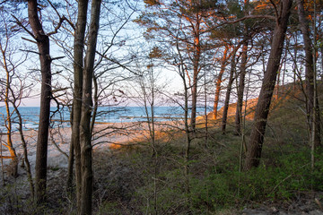 The view of the beach of Zempin through the forest at sunset.
