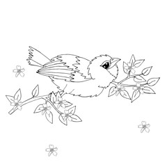 Cartoon bird for coloring book or pages
