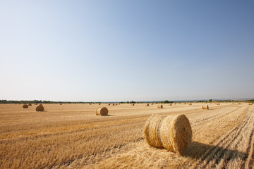 Agriculture filed with round hay bales after wheat harvest